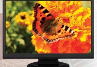 NEC AccuSync ASLCD224WXM