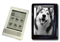 Netronix EB-100 and EB-300 e-books