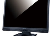 Buffalo new 22-inch LCD Screen