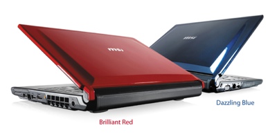 MSI EX310 Fashionable AMD Notebook