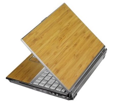 Asus U6V-B1-Bamboo Ultraportable Notebook