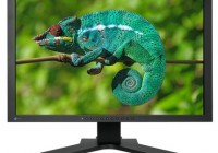 Eizo ColorEdge CG242W LCD Display has DispayPort