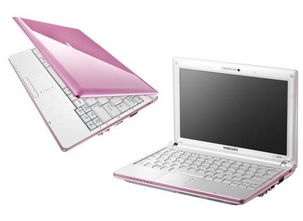 Pink Netbook