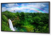 NEC MultiSync P401 and P461 Professional LCD Displays