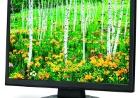 NEC AccuSync AS191, AS191WM and AS221WM LCD Monitors