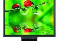 NEC MultiSync LCD175M 17-inch LCD Display