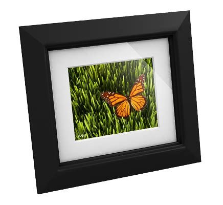 GiiNii Artforme and Tech 8-inch Digital Photo Frames GiiNii Artforme and Tech 8-inch Digital Photo Frames