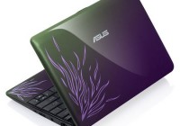 Asus Eee PC 1001PQ Netbook for Tweens Flame Purple
