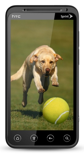 Sprint HTC EVO 3D 4G Smartphone with QHD 3D Display 3D