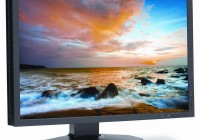 NEC MultiSync P242W-BK Entry-level Professional IPS Desktop Monitor angle