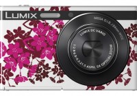 Panasonic LUMIX DMC-XS1PZW13