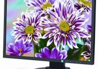 NEC MultiSync E223W Budget BusineNEC MultiSync E223W Budget Business Monitor angle 1ss Monitor angle 1